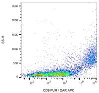CD9 antibody [EM-04]