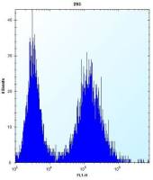 PARP12 antibody, N-term