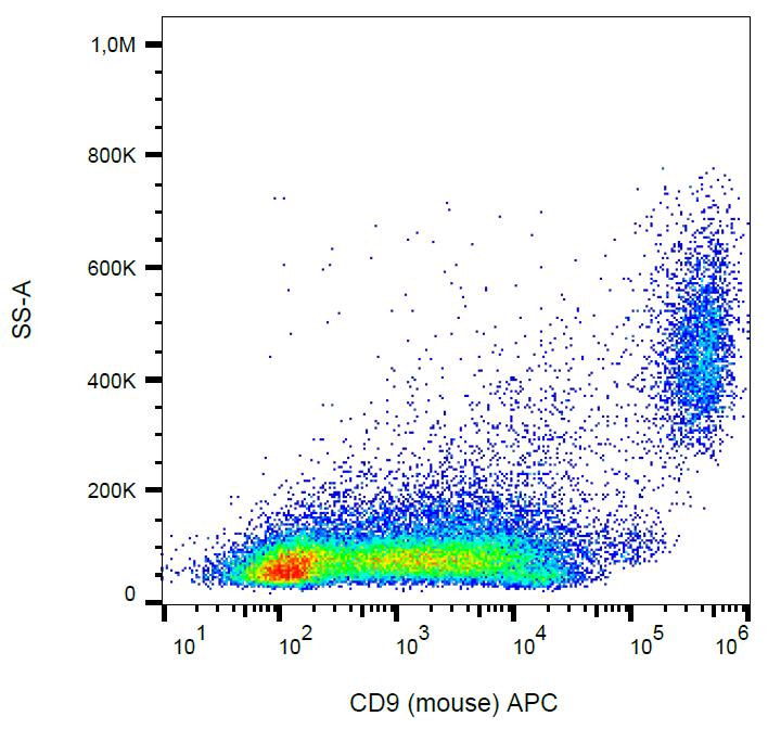 CD9 antibody [EM-04] (APC)