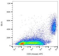 CD9 antibody [EM-04] (APC)