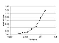 TNF alpha antibody [2TNF-H34A]