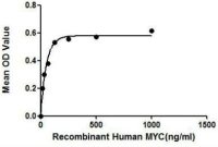 Human v-Myc protein, His and GST tag