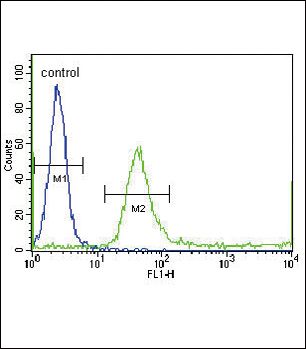 IGFBP4 antibody, N-term