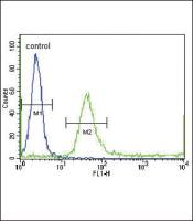 IGFBP4 antibody, N-term