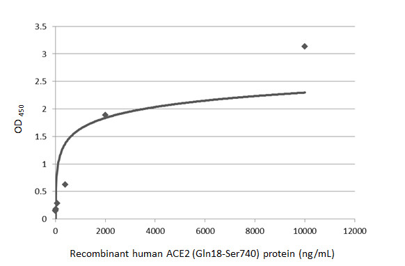 Human ACE2 (ECD) protein, His and Avi tag (active)