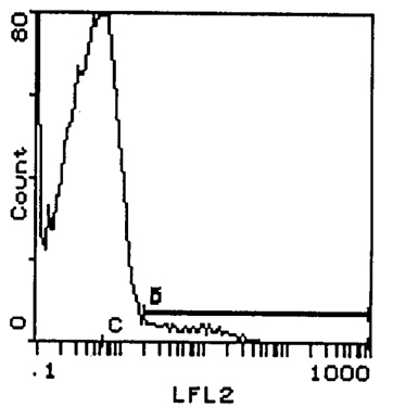 TCR gamma + delta antibody [GL3] (Biotin)
