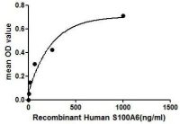 Human S100A6 protein, His tag