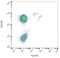 TCR gamma + delta antibody [B1] (PE)