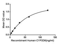 Human Cytochrome P450 2D6 protein, His tag