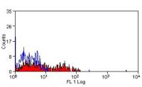 CD160 antibody [BY55] (Azide free)