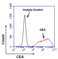CEA antibody [1106]