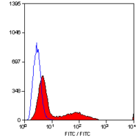 CD34 antibody [MEC14.7] (PE)