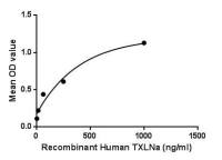 Human alpha Taxilin protein, His tag