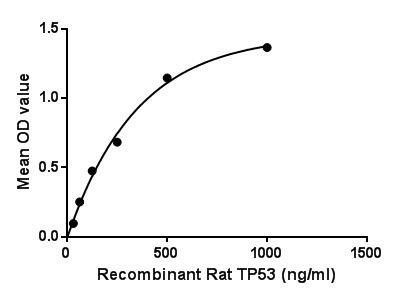 Rat p53 protein, His tag
