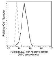 Nestin antibody [11]