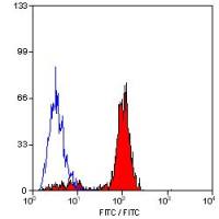 Ly-6B.2 antibody [7/4] (FITC)