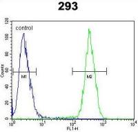CLPX antibody