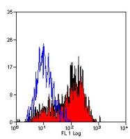 CD134 antibody [OX86]
