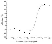 Human LIF protein, human IgG1 Fc tag (active)