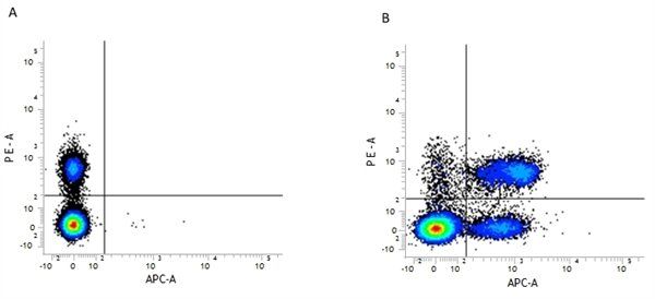 CD3 antibody [KT3] (APC)