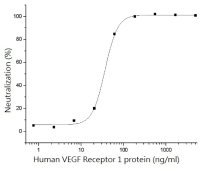 Human VEGF Receptor 1 protein, His tag (active)