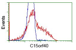 C15orf40 antibody [2B7]