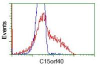 C15orf40 antibody [2B7]