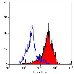 MSR1 antibody [2F8] (FITC)