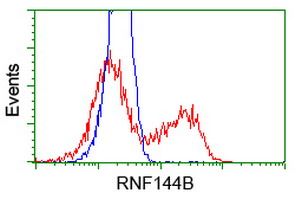 RNF144B antibody [11F4]