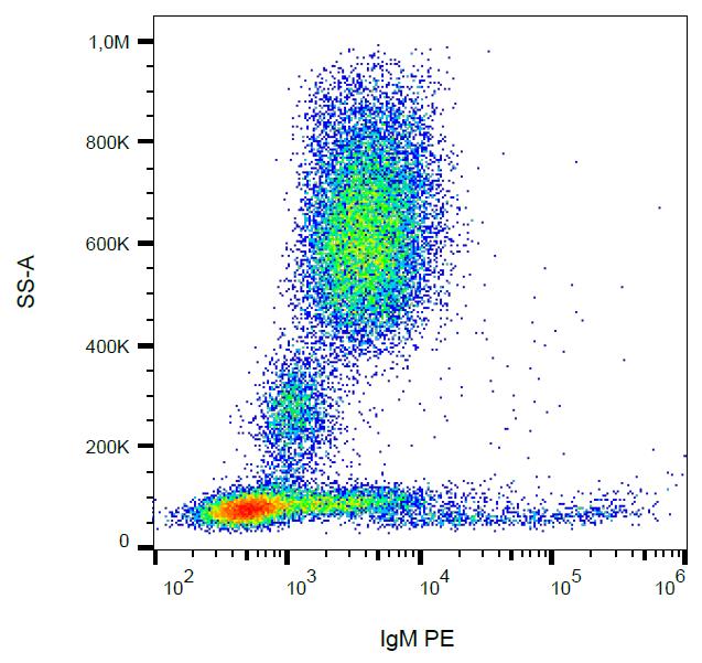 Mouse Anti-Human IgM (Fc) antibody [CH2] (PE)