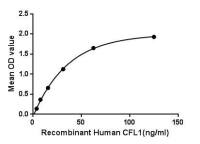 Human Cofilin 1 protein, His tag