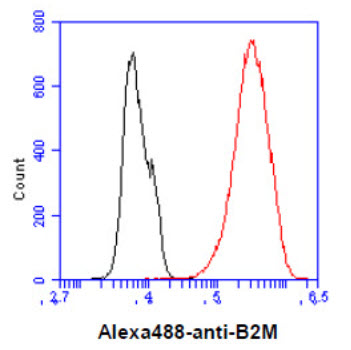 beta 2 Microglobulin antibody [AT101F10]