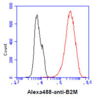 beta 2 Microglobulin antibody [AT101F10]