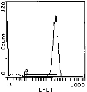 TCR alpha + TCR beta antibody [R73] (FITC)