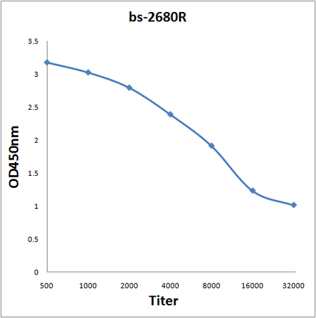 NFAM1 antibody
