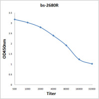 NFAM1 antibody