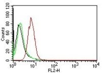 Cyclin D1 antibody [CCND1/809]