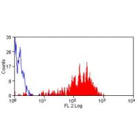 CD62P antibody [Psel.KO.2.5] (PE)