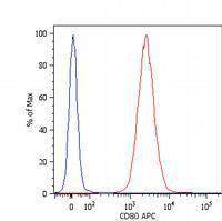 CD80 antibody [MEM-233] (PerCP)