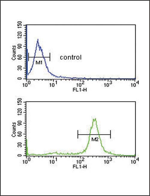CD32a antibody, C-term