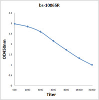 Netrin 4 antibody