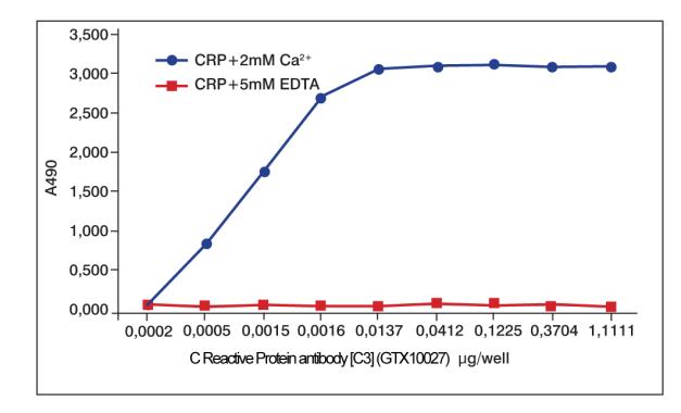C Reactive Protein antibody [C3]