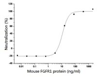 Mouse FGFR1 protein, human IgG1 Fc tag (active)