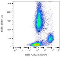 CD64 antibody [10.1]