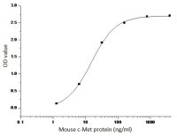 Mouse c-Met protein, human IgG1 Fc tag