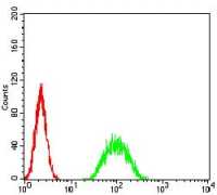 ATF3 antibody [7F1B10]
