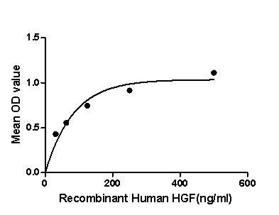 Human HGF protein, GST tag (active)