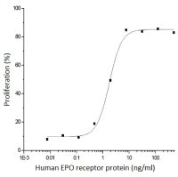 Human EPO receptor protein, human IgG1 Fc tag (active)