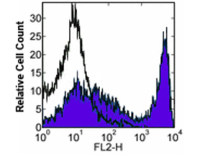 CD90 antibody [30-H12] (Biotin)