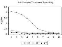 Phosphothreonine antibody [18F6]